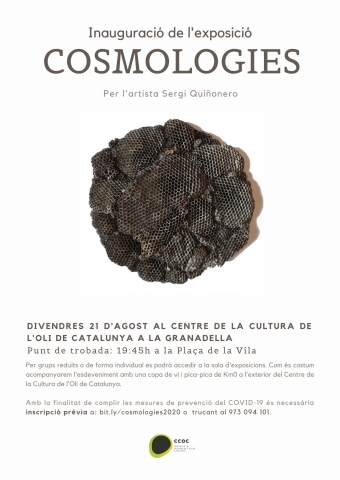Cartell inauguració